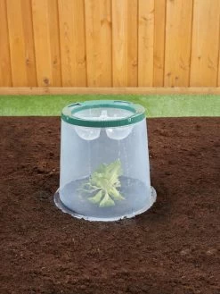 Sunny Forcing Cloches, Set Of 3 -Plant Care Shop 8600075 02V tif