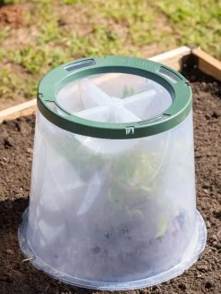 Sunny Forcing Cloches, Set Of 3 -Plant Care Shop 8600075 0734 tif