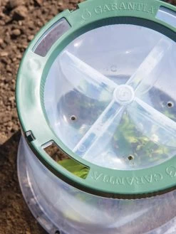 Sunny Forcing Cloches, Set Of 3 -Plant Care Shop 8600075 0742 tif