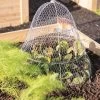 Chicken Wire Cloche With Extension -Plant Care Shop 8600116 0482 tif