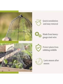 Chicken Wire Cloche With Extension 17 Chicken Wire Cloche With Extension -Plant Care Shop 8600116 3
