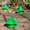 Slug And Snail Traps, Set Of 3 -Plant Care Shop 8600120 1784 slug and snail traps set of 3