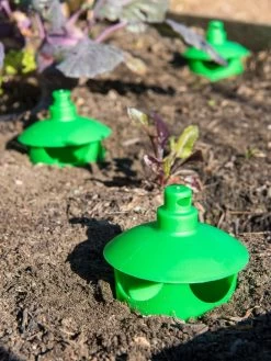 Slug And Snail Traps, Set Of 3 -Plant Care Shop 8600120 1788