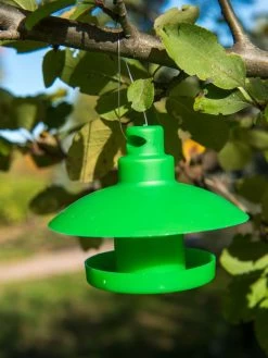 Slug And Snail Traps, Set Of 3 -Plant Care Shop 8600120 1792