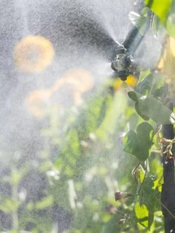 Landscape 4-Way Cooling Mist Kit, 50' 12 Landscape 4-Way Cooling Mist Kit, 50' -Plant Care Shop 8600154 0695 tif