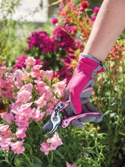 Gardener's Floral Pruning Bypass Shears -Plant Care Shop 8600299 19545 tif