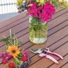 Gardener's Floral Pruning Bypass Shears -Plant Care Shop 8600299 19581 tif