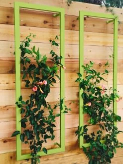 Ina Modern Wall Trellis Sr. -Plant Care Shop 8600510 01V tif