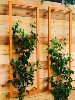 Ina Modern Wall Trellis Sr. -Plant Care Shop 8600510 04V tif