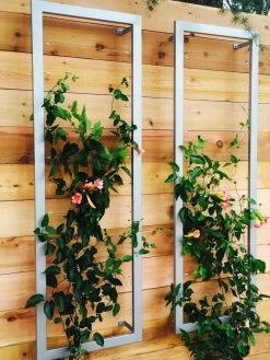 Ina Modern Wall Trellis Sr. -Plant Care Shop 8600510 06V tif