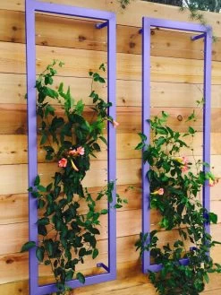 Ina Modern Wall Trellis Sr. -Plant Care Shop 8600510 07V tif