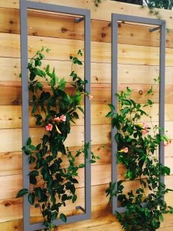 Ina Modern Wall Trellis Sr. -Plant Care Shop 8600510 08V jpg