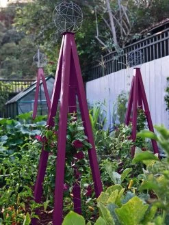 Akoris Garden Tuteur Jr. -Plant Care Shop 8600517 01V akoris garden tuteur tif