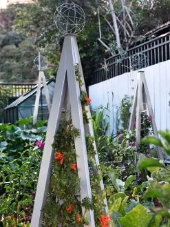 Akoris Garden Tuteur Jr. -Plant Care Shop 8600517 07V tif