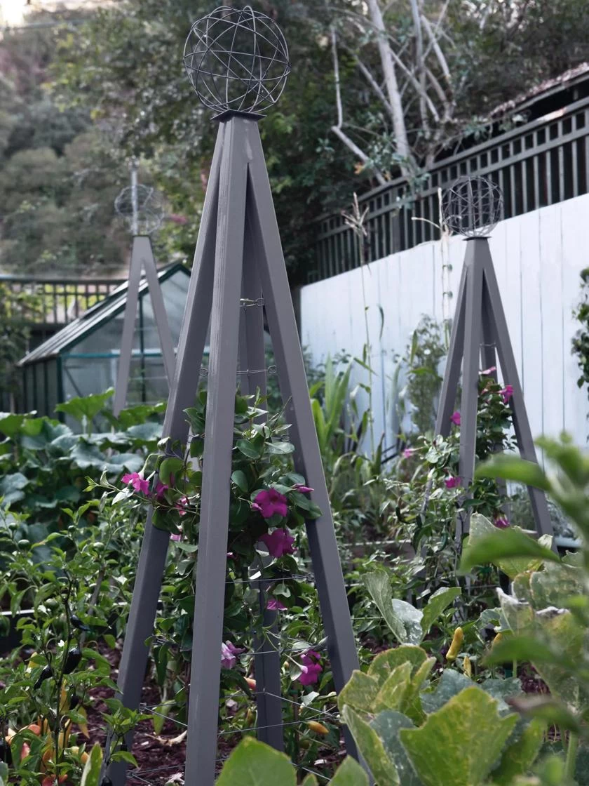 Akoris Garden Tuteur Sr. 4 Akoris Garden Tuteur Sr. - Image 2