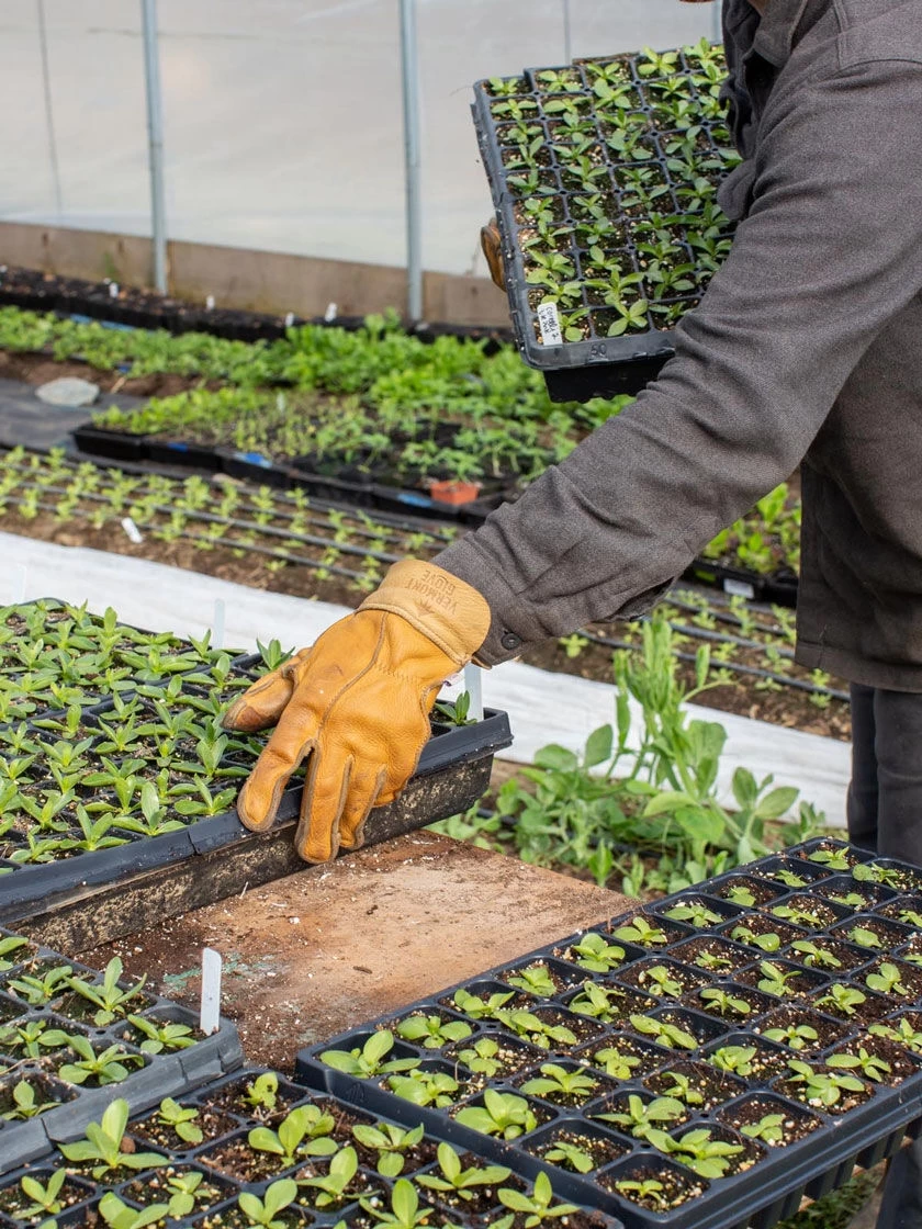 The Vermonter By Vermont Glove 5 The Vermonter By Vermont Glove - Image 3