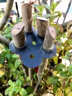 Garden Cane Connects, Set Of 6 -Plant Care Shop 8609019 01V tif