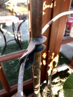 Garden Cane Connects, Set Of 6 -Plant Care Shop 8609019 03V tif