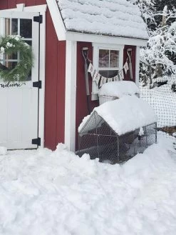 Chicken Wire Crop Coop 24 Chicken Wire Crop Coop -Plant Care Shop 8609080 03IN tif