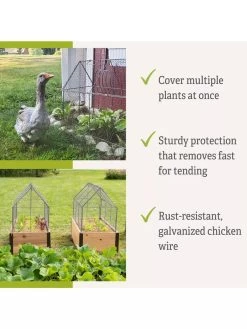 Chicken Wire Crop Coop 17 Chicken Wire Crop Coop -Plant Care Shop 8609080 2