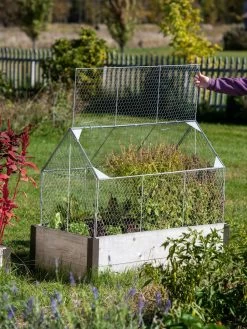 Chicken Wire Crop Coop 21 Chicken Wire Crop Coop -Plant Care Shop 8609080 4024