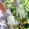 Garden Works Mid Cuff™ Gloves -Plant Care Shop 8609447 0118 tif