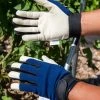 Garden Works Traditions™ Gloves 1 Garden Works Traditions™ Gloves -Plant Care Shop 8609448 0372 tif