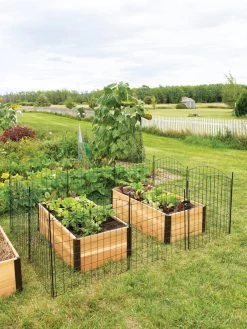 6 Panel Critter Fence With Gate -Plant Care Shop 8609844 8457 tif