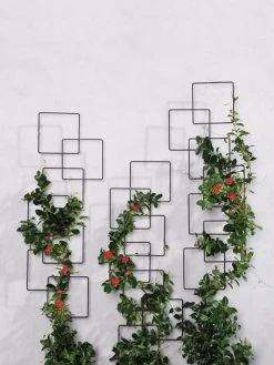 Building Blocks Wall Trellis, 45" -Plant Care Shop 8610183 5811 tif