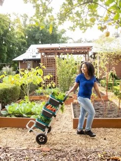 Mod Hod Trolley With Teal Mod Hods 9 Mod Hod Trolley With Teal Mod Hods -Plant Care Shop 8610240 0070 tif