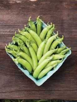 Family Garden Organic Seed Collection, Set Of 7 -Plant Care Shop 8610262 cascadia peas 01V tif