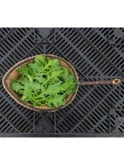 Silk Road Garden Organic Seed Collection, Set Of 6 -Plant Care Shop 8610264 mizuna babyleaf 01v