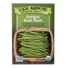 Antigua Bush Bean Organic Seeds -Plant Care Shop 8610283 9987 antigua bush bean organic seeds