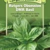 Rutgers Obsession Basil Organic Seeds 1 Rutgers Obsession Basil Organic Seeds -Plant Care Shop 8610289 01v rutgers obsession basil organic seeds