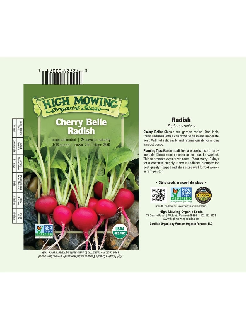 Cherry Belle Radish Organic Seeds 5 Cherry Belle Radish Organic Seeds - Image 3