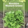Wasabina Mustard Greens Organic Seeds -Plant Care Shop 8610363 01v wasabina mustard greens organic seeds