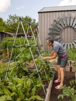 Connector Kit For DIY A Frame Plant Support -Plant Care Shop 8610366 7584 tif