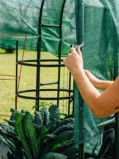 Maxi Garden Hoops With Clips 14 Maxi Garden Hoops With Clips -Plant Care Shop 8610372 368 tif