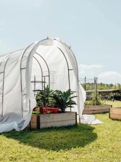 Maxi Garden Quilt -Plant Care Shop 8610373 373 tif