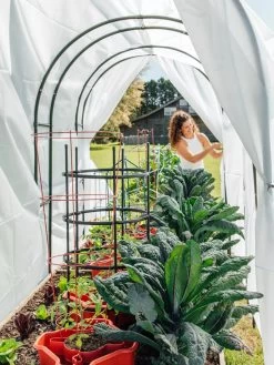 Maxi Garden Hoops With Clips 13 Maxi Garden Hoops With Clips -Plant Care Shop 8610373 377 tif