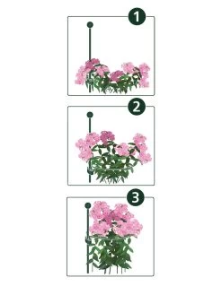 Featured Products -Plant Care Shop 8610383 07v