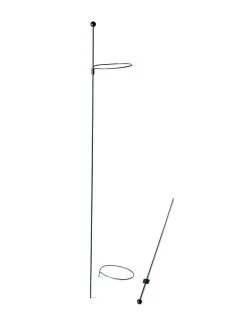 Peacock Mini Plant Support Rings 4", Set Of 2 -Plant Care Shop 8610386 9566