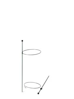 Peacock Mini Plant Support Rings 8", Set Of 2 -Plant Care Shop 8610387 9571 tif