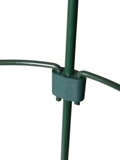 Peacock Mini Plant Support Rings 8", Set Of 2 -Plant Care Shop 8610387 9577 tif 1