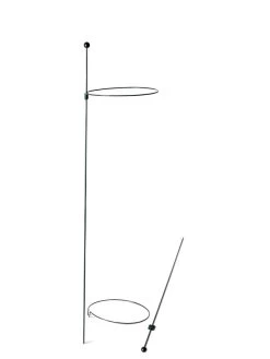 Peacock Mini Plant Support Rings 8", Set Of 2 -Plant Care Shop 8610388 9565 tif