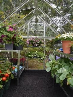 Canopia® By Palram Harmony™ Greenhouse, 6' X 14' -Plant Care Shop 8610563 03V jpg