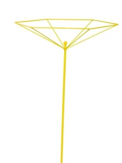 Parasol Plant Supports, Set Of 3 -Plant Care Shop 8611129 3844 tif