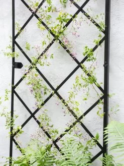 Lattice Gable Wall Trellis -Plant Care Shop 8611130 009