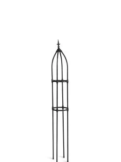 Fleur De Lis Obelisk, 67" -Plant Care Shop 8611663 03761 tif