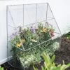 Chicken Wire Flat Back Crop Coop -Plant Care Shop 8611701 142 tif